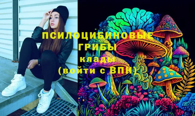 Галлюциногенные грибы Cubensis  гидра ONION  Амурск 